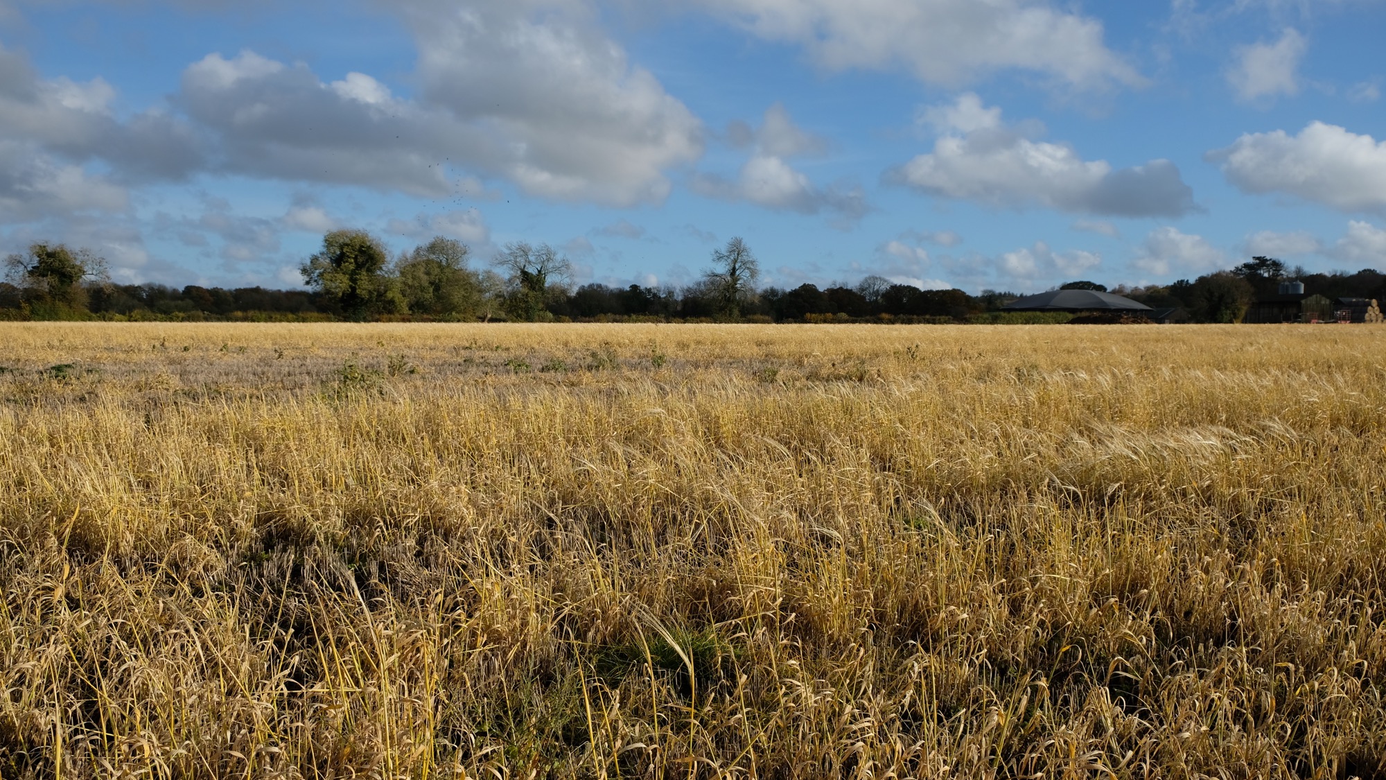 SP04367 | Scrapyards & Wasteland,Farms & Agricultural,Fields ...